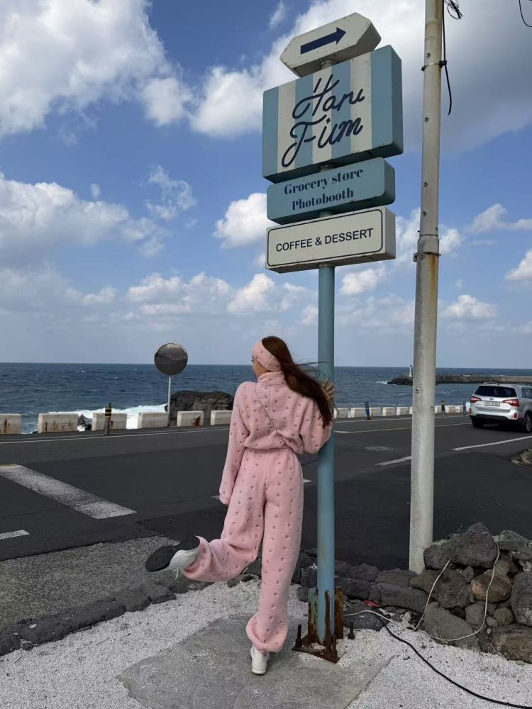 Women's Custom Embroidered Fleece Onesie (Pink Small Flowers)#251101