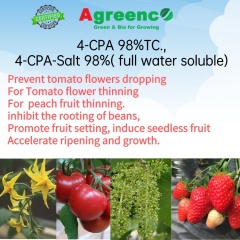4-CPA  (4-Chlorophenoxyacetic acid)  98%TC. Salt 98%