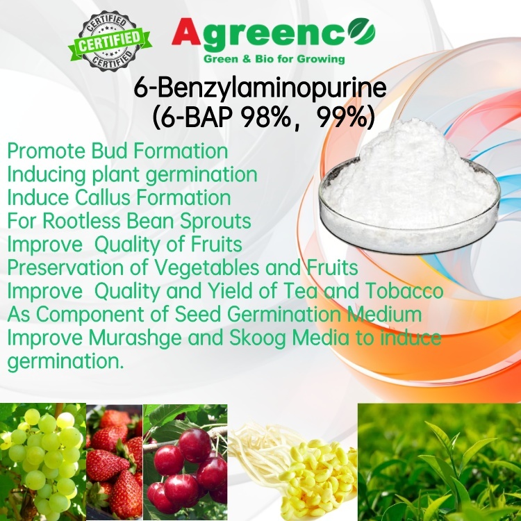 6-Benzylaminopurine (6-BAP) 99%