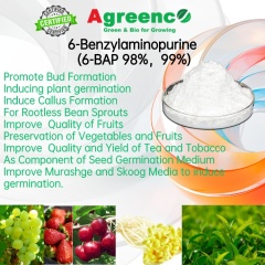 6-Benzylaminopurine (6-BAP) 99%