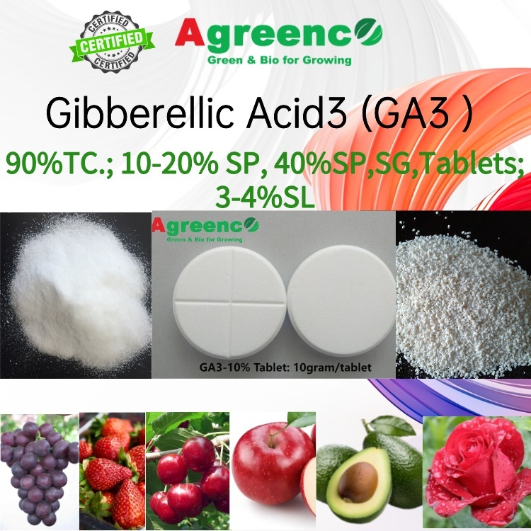 GA3/ GA4+7