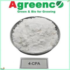 4-CPA  (4-Chlorophenoxyacetic acid)  98%TC. Salt 98%