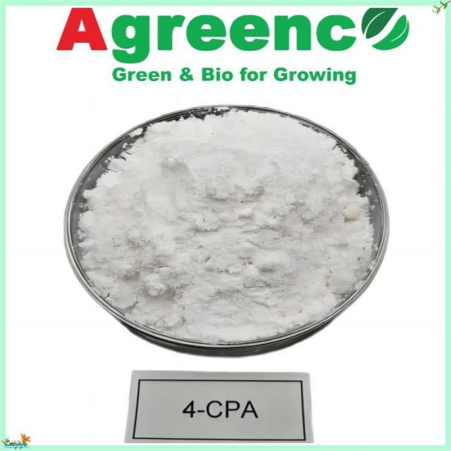 4-CPA  (4-Chlorophenoxyacetic acid)  98%TC. Salt 98%