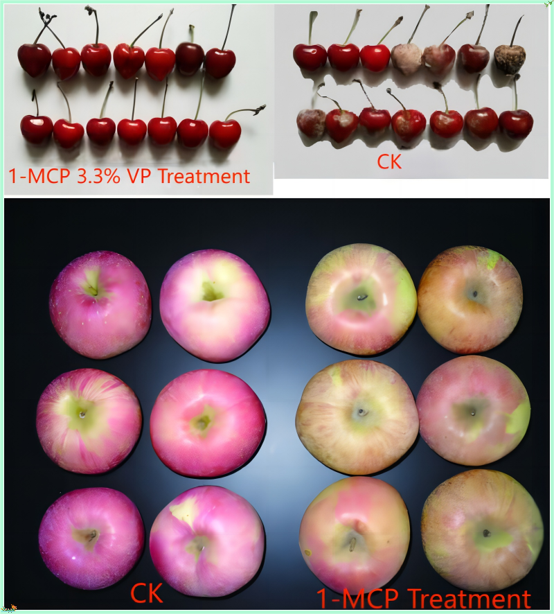 1-MCP(1-Methylcyclopropene) 3.3%
