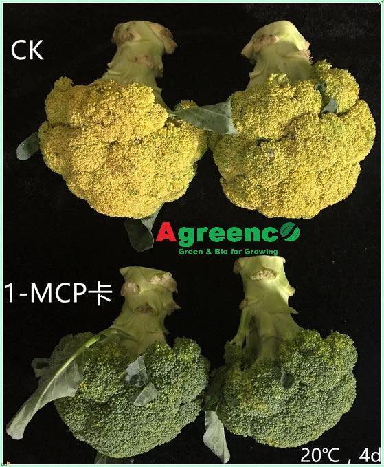 1-MCP(1-Methylcyclopropene) 3.3%
