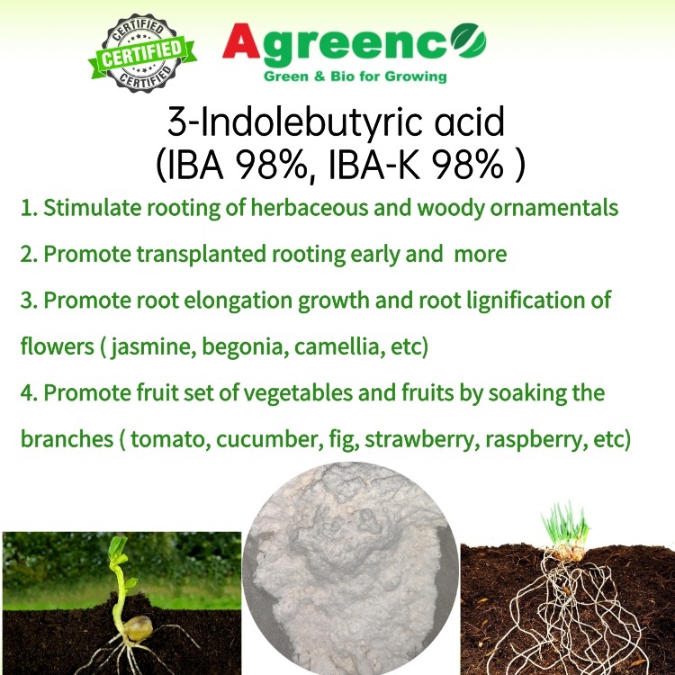 3-Indolebutyric acid  (IBA 98%, IBA-K 98% )