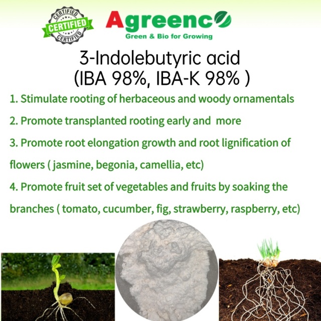 3-Indolebutyric acid  (IBA 98%, IBA-K 98% )