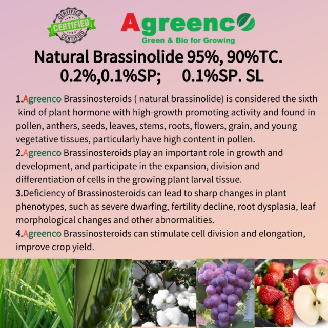 Natural brassinolide 95%，90%TC; 1%,0.1%,0.2%,0.01%SP; SL