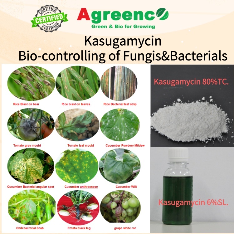 Kasugamycin 80%,70%TC. 2%,6%SL