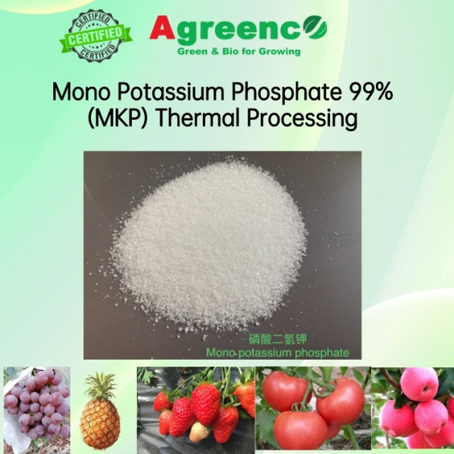 MONOPOTASSIUM PHOSPHATE(MKP) 99%