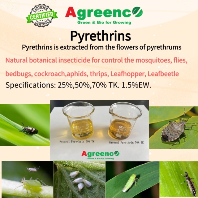 Pyrethrins 25%-70%; 1.5%EW