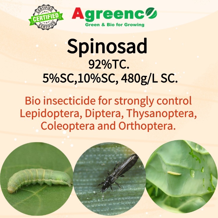 Spinosad 92%