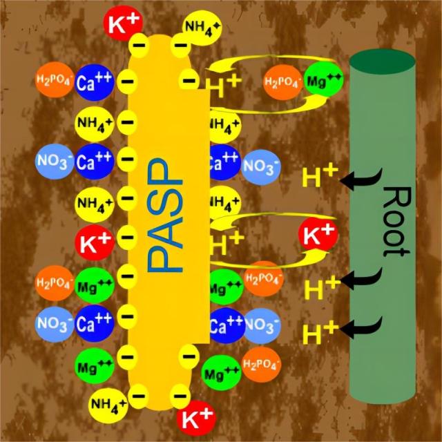 Polyaspartic Acid-Potassium(PASP 92%-95%) -Eco fertilizer synergist and Enhancer