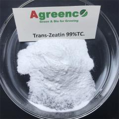Trans Zeatin 99% High Effective Cytokinin for Plant Cell Division and Tissue Differentiation