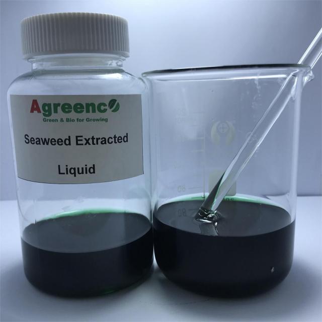 Seaweed Extracted Fertilizers