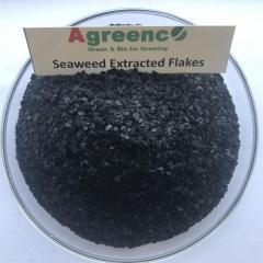 Seaweed Extracted Fertilizers