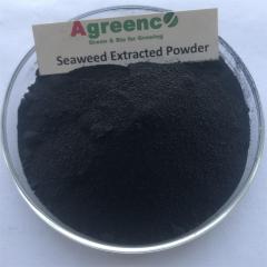 Seaweed Extracted Fertilizers