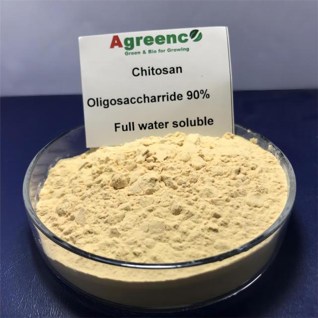 Chitosan Oligosaccharide