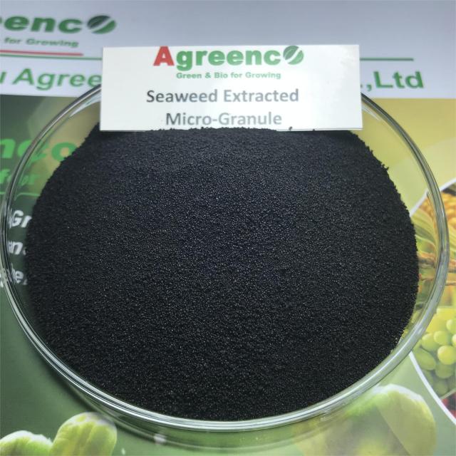 Seaweed Extracted Fertilizers