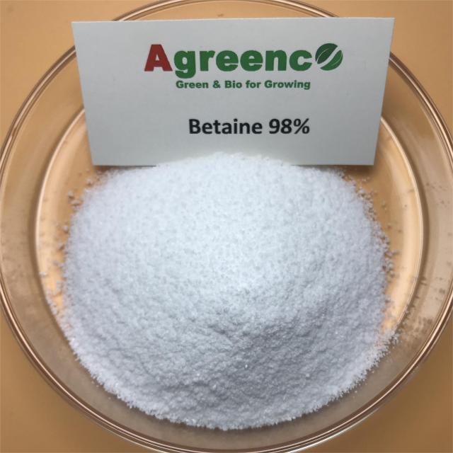 Betaine (Crop grade) Bio Stimulant for Crops Higher Yield and High Quality