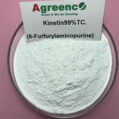 Kinetin99% Bio Cytokinin for plant growth