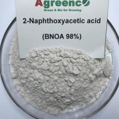 2-Naphthoxyacetic acid (BNOA 98%TC). auxins plant growth promoter,Agreenco Bio Tech Co.,LTD