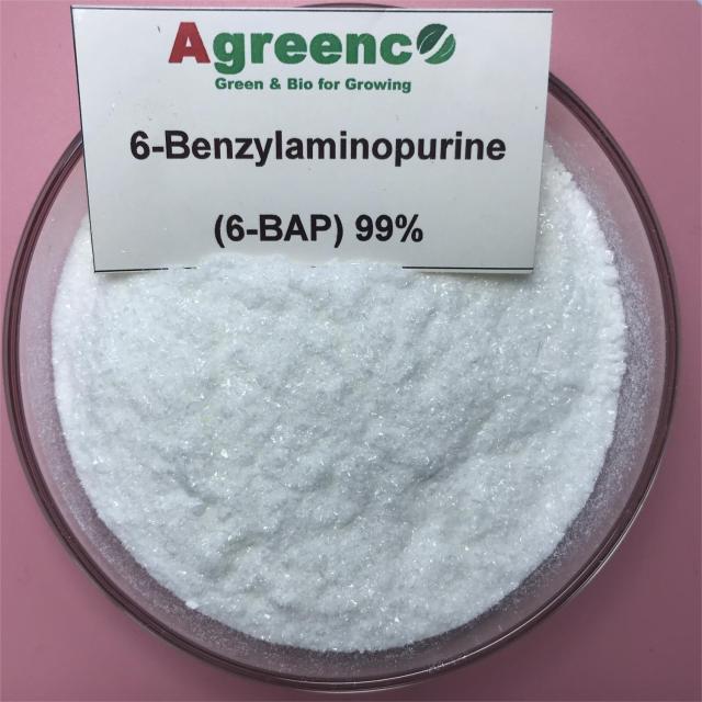 6-Benzylaminopurine (6-BAP) 99%