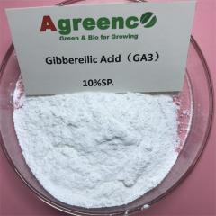 Gibberellic acid and Gibberellins (GA3)