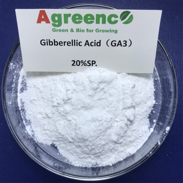 Gibberellic acid and Gibberellins (GA3)