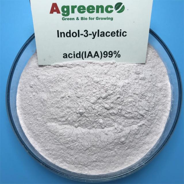 INDOLE-3-ACETIC ACID(IAA 99%)