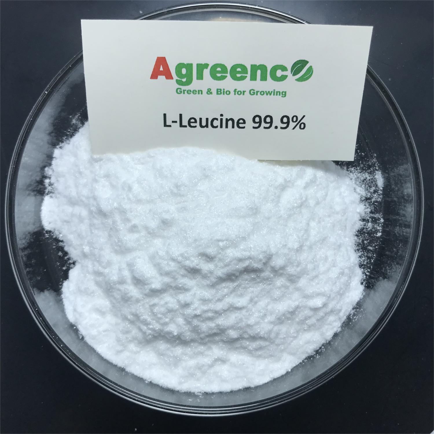 L-Leucine 99% amino acid,Agreenco Bio Tech Co.,LTD