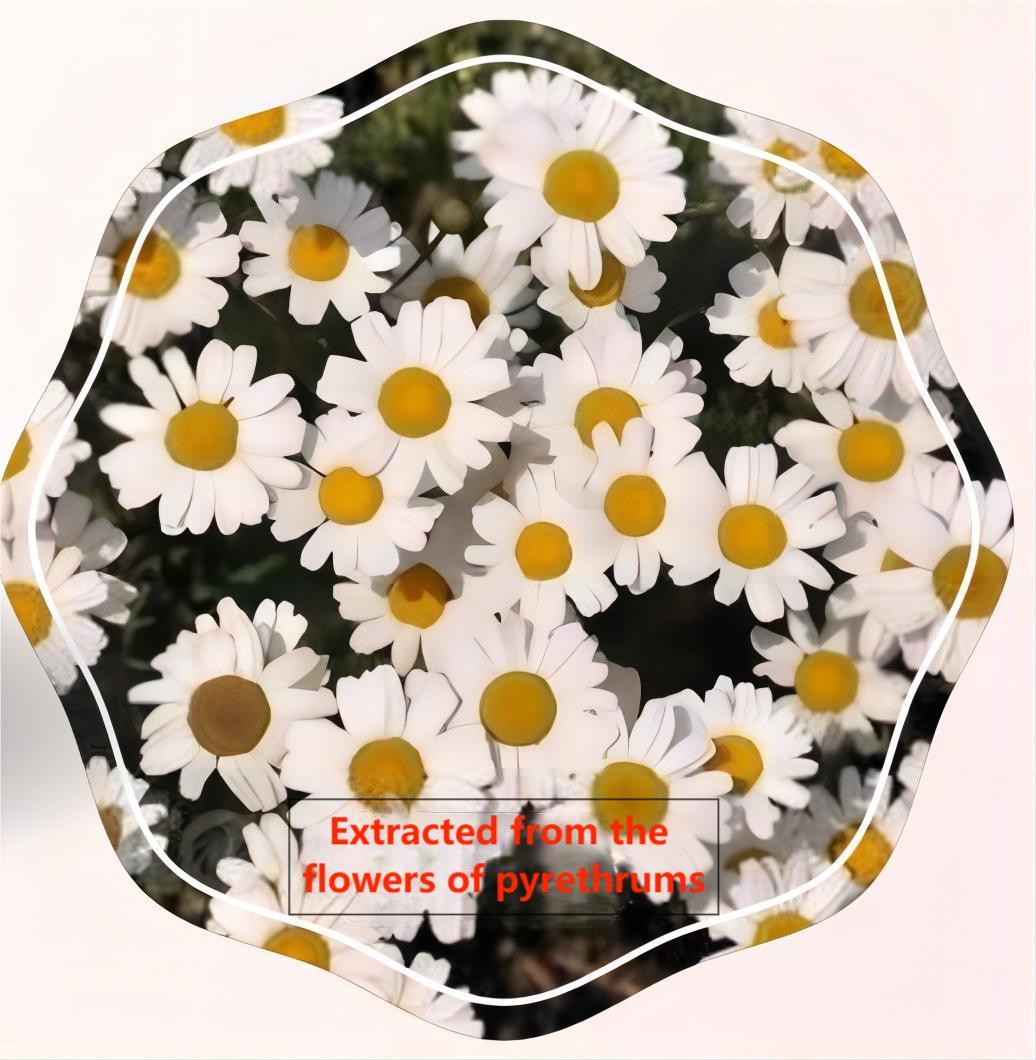 Pyrethrinker-7PLUS ( Pyrethrins 1.5%EW Complex Plus),Agreenco Bio Tech Co.,LTD