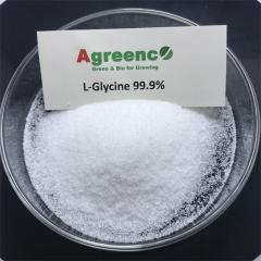 L-Glycine 99% amino acid,Agreenco Bio Tech Co.,LTD