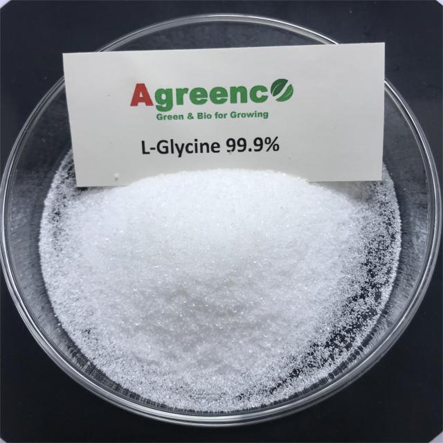 L-Glycine 99% amino acid