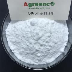 L-Proline 99% amino acid for agricultural and food grade,Agreenco Bio Tech Co.,LTD