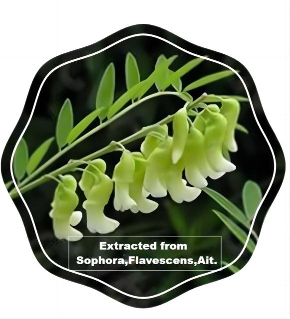 Matricker-99 (active : matrine 0.3% complex Bio insecticide),Agreenco Bio Tech Co.,LTD