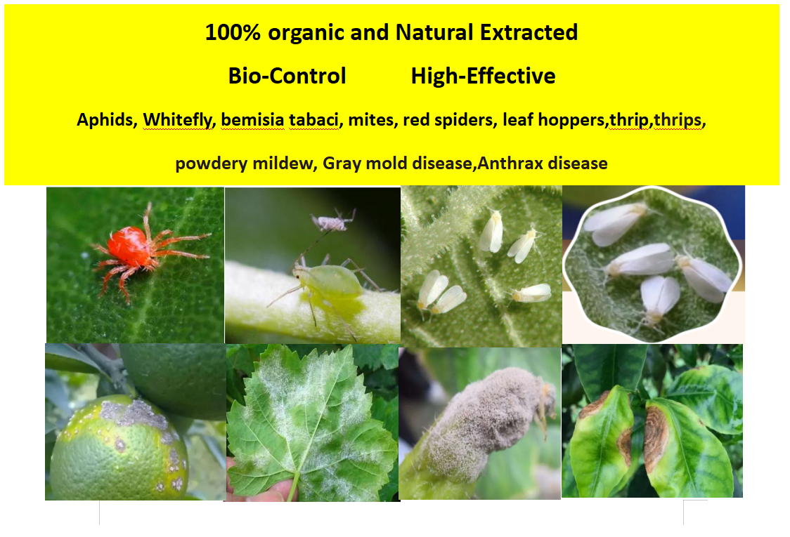 Bio-Pesticide (DiaLimone-PowerPlus): (Active: D-limonene 18% AS Plus Extracted from Orange peel),Agreenco Bio Tech Co.,LTD