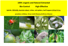 Bio-Pesticide (DiaLimone-PowerPlus): (Active: D-limonene 18% AS Plus Extracted from Orange peel),Agreenco Bio Tech Co.,LTD