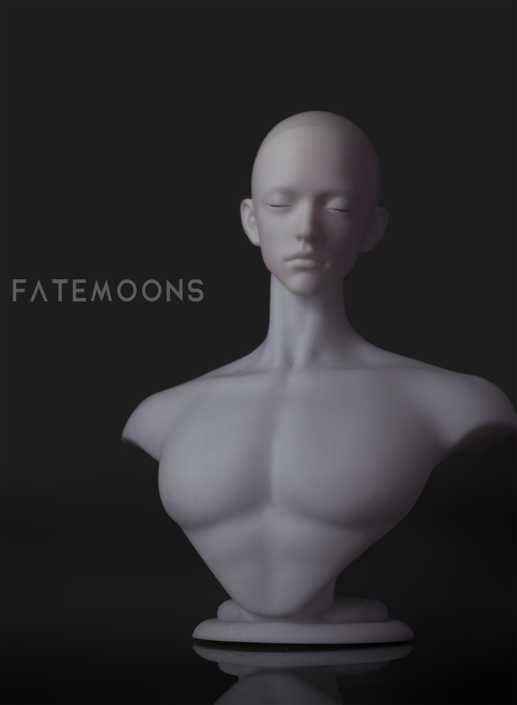 [In Stock] 1/3、80+ Bust