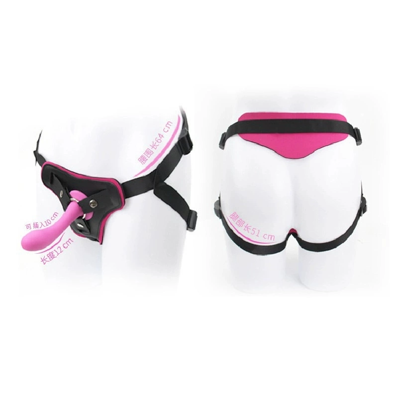 Roomfun Wearing Pants CH-001 CH-003 ZW-017 Remote Control Double SM Sexy Adult Products