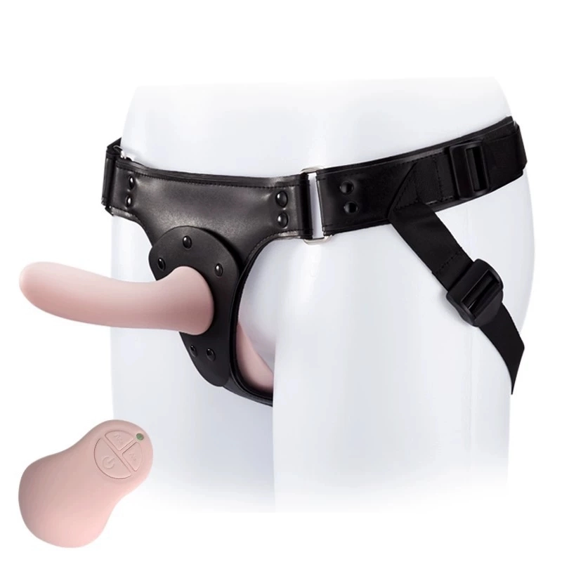 Roomfun Wearing Pants CH-001 CH-003 ZW-017 Remote Control Double SM Sexy Adult Products