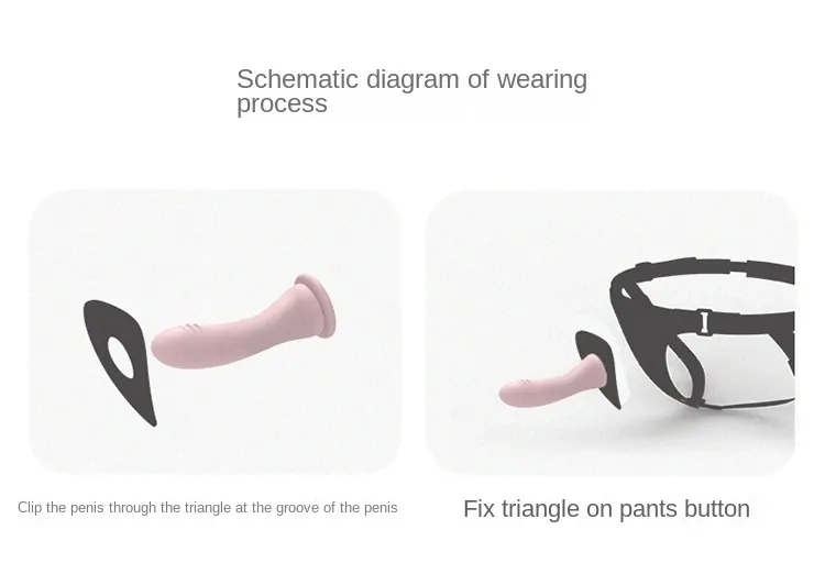 Roomfun Wearing Pants CH-001 CH-003 ZW-017 Remote Control Double SM Sexy Adult Products