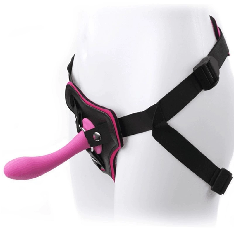 Roomfun Wearing Pants CH-001 CH-003 ZW-017 Remote Control Double SM Sexy Adult Products