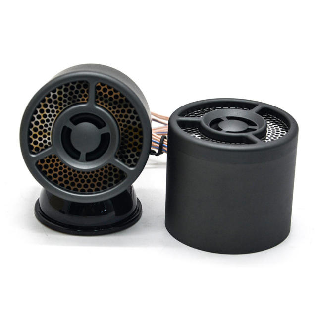 OEM 2 Inch high quality car audio midrange speakers