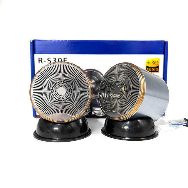 factory new popular model professional midrange speaker hot sellsing midbass car speaker(R-S30F)
