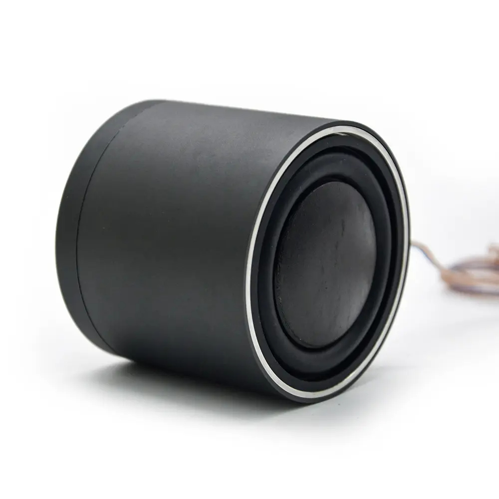 OEM 2 Inch high quality car audio midrange speakers