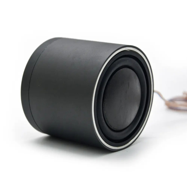 OEM 2 Inch high quality car audio midrange speakers
