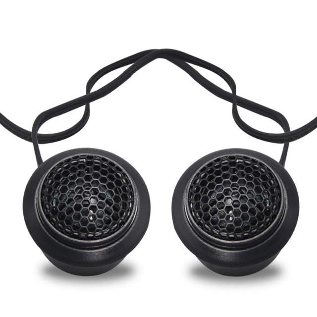 cheap price car tweeter speakers small speaker(HI-R2)