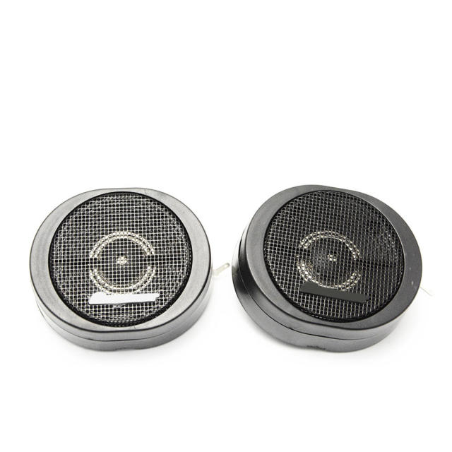 factory supply new style car tweeter speakers car audio small speaker(TS-S20)