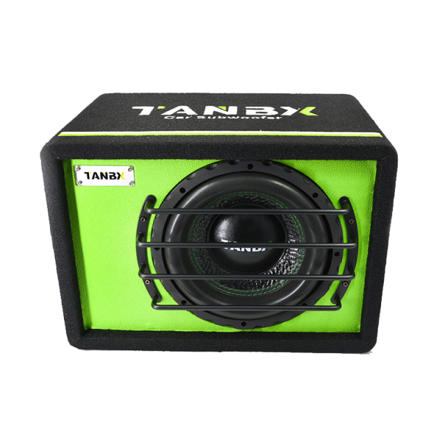 high quality 10 inch car Subwoofer with box and amp